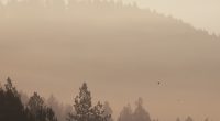‘This was a total ambush’: Officials Provide Update on Idaho Sniper Accused of Killing 2 Firefighters, Injuring Another