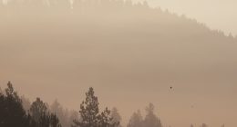 ‘This was a total ambush’: Officials Provide Update on Idaho Sniper Accused of Killing 2 Firefighters, Injuring Another