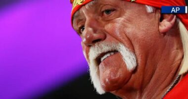 'He built WWE': Tampa pro wrestlers remember Hulk Hogan