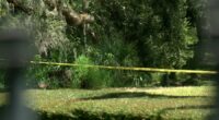 'My heart goes out to them': New Port Richey neighbors react to missing 6-year-old found dead