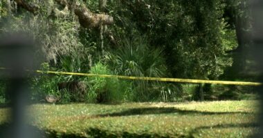 'My heart goes out to them': New Port Richey neighbors react to missing 6-year-old found dead