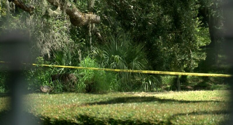 'My heart goes out to them': New Port Richey neighbors react to missing 6-year-old found dead