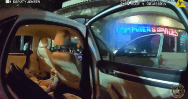 'Parents of the year' leave baby alone in car to drink at bar: Florida sheriff
