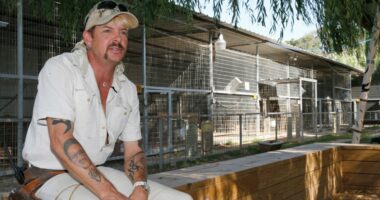 'Tiger King' Joe Exotic seeking Trump pardon