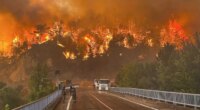 1,700 evacuated, firefighter dead as Turkey wildfires tear through major city