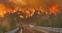 1,700 evacuated, firefighter dead as Turkey wildfires tear through major city
