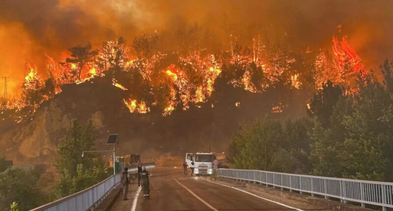 1,700 evacuated, firefighter dead as Turkey wildfires tear through major city
