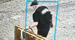Arkansas prison employees fired after 'Devil in the Ozarks' escape