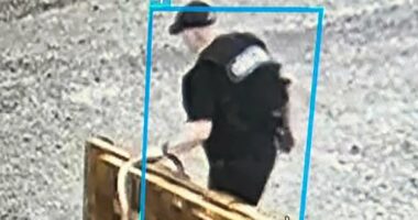 Arkansas prison employees fired after 'Devil in the Ozarks' escape