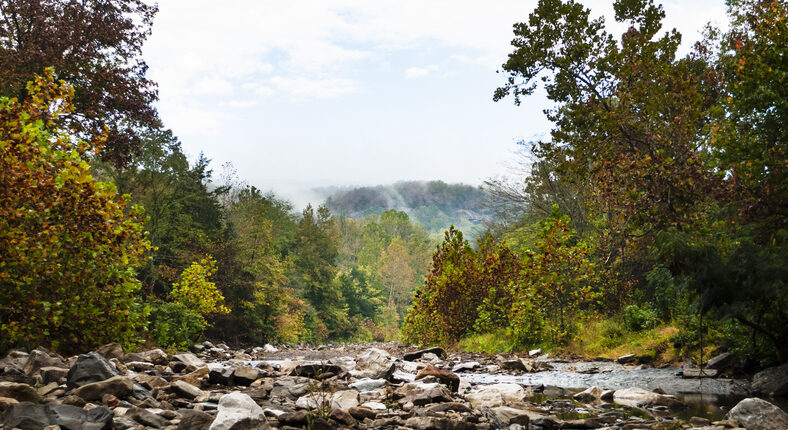 2 found dead at Arkansas state park; suspect at large: Police