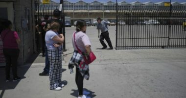 200 arrested, one dead in chaos at California cannabis farm immigration raid