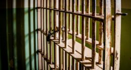 4 arrested after police discover 'house of abuse' in Florida