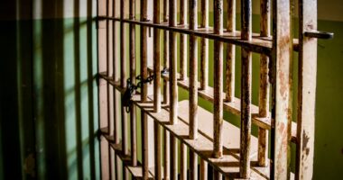 4 arrested after police discover 'house of abuse' in Florida
