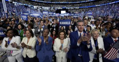 6 in 10 voters view Democrats negatively: WSJ poll