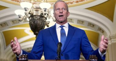 A Russia sanctions bill passed by August?