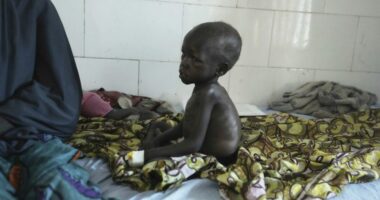 A postmortem on the dismantling of USAID