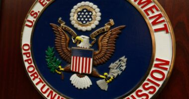 A zombie EEOC is attacking small businesses and trying to keep it secret