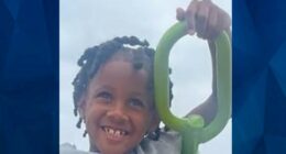 AMBER ALERT: 7-Year-Old Wisconsin Boy Taken at Gunpoint
