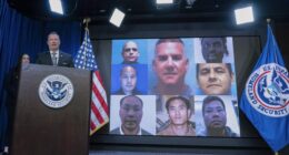 Acting ICE director fires back at Hunter Biden