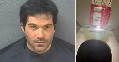 American Airlines flight attendant who admitted to secretly filming young girls in plane bathroom learns fate