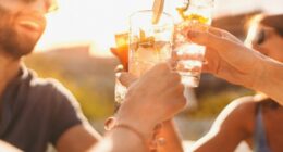 Friends toasting drinks at a bar.