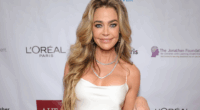 Amid Divorce Filings, Denise Richards Sees Bravo Show Cancelled
