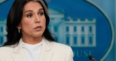 Anti-Trump Russiagate plot is unraveling — with more to come