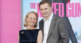 Are Pamela Anderson and Liam Neeson Hollywood New Couple?