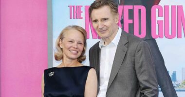 Are Pamela Anderson and Liam Neeson Hollywood New Couple?