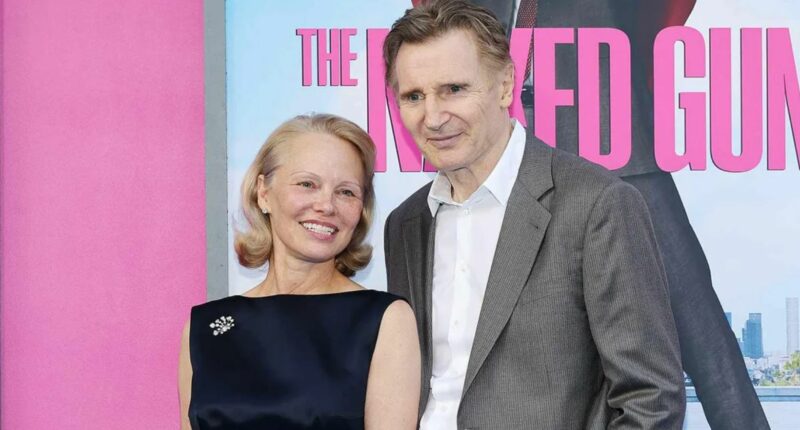 Are Pamela Anderson and Liam Neeson Hollywood New Couple?