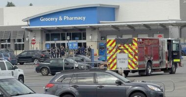 At least 11 people stabbed at a Walmart in Michigan, and a suspect is in custody