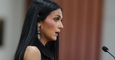 Attorney weighs in on family's rage after Kaylee Goncalves' sister scorches 'stupid, clumsy' killer Kohberger