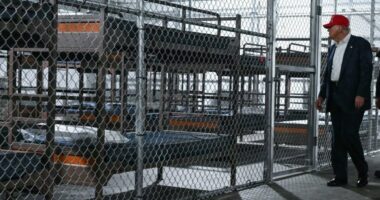 Attorneys for ‘Alligator Alcatraz’ detainees claim no access, seek restraining order