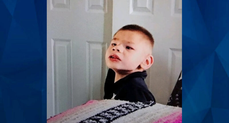 Autistic 8-Year-Old Boy Found Dead After Vanishing With Wheelchair; Person of Interest in Custody