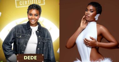 BBNaija 10: I’m polygamous in nature – Dede