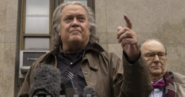 Bannon warns GOP could lose 40 House seats over Epstein files