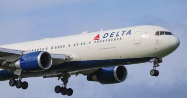 Battery fire forces Florida-bound Delta flight to make emergency landing