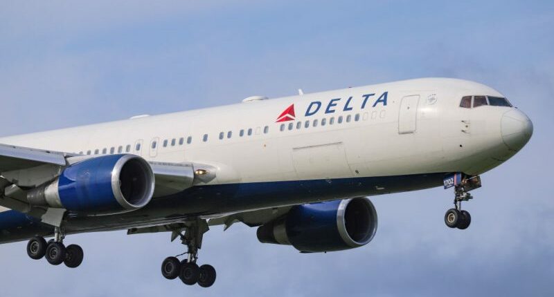 Battery fire forces Florida-bound Delta flight to make emergency landing