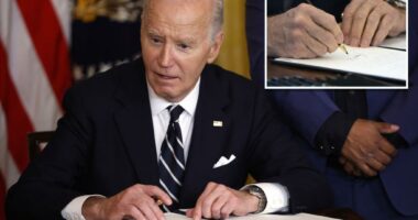 Biden defends controversial autopen use for mass clemency decisions in NYT interview