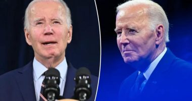 Biden says he’s working on memoir and ‘getting calls’ from European leaders asking him to ‘get engaged’ post-presidency 