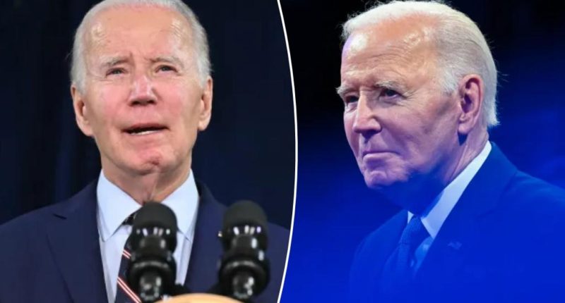 Biden says he’s working on memoir and ‘getting calls’ from European leaders asking him to ‘get engaged’ post-presidency 