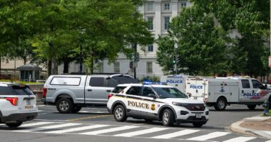 Bomb squad deployed after package discovered near White House