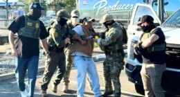 Border Patrol says some illegal migrants arrested in Sacramento raid had criminal histories