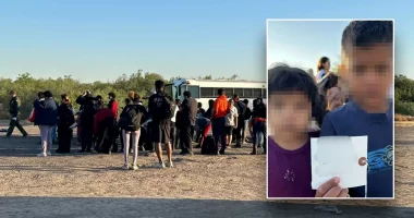 Border crisis under Biden reveals shocking abuse of migrant children placed with unvetted sponsors: DHS