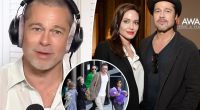 Brad Pitt makes cryptic comment about navigating life's 'struggles' after divorce