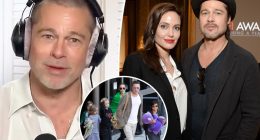 Brad Pitt makes cryptic comment about navigating life's 'struggles' after divorce
