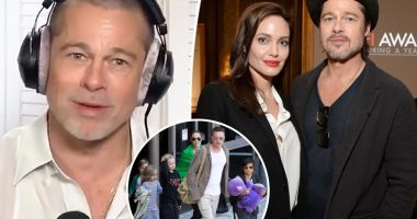 Brad Pitt makes cryptic comment about navigating life's 'struggles' after divorce
