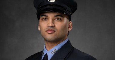 Bravest who once saved woman in wheelchair from burning building is killed on FDR Drive