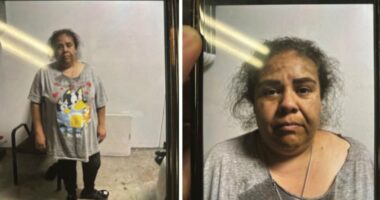 Mugshot of Yuriana Julia Pelaez Calderon.