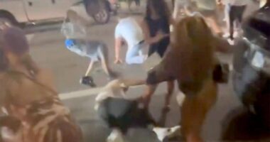 Brutal downtown brawl leaves victims bloodied as Cincinnati police launch investigation